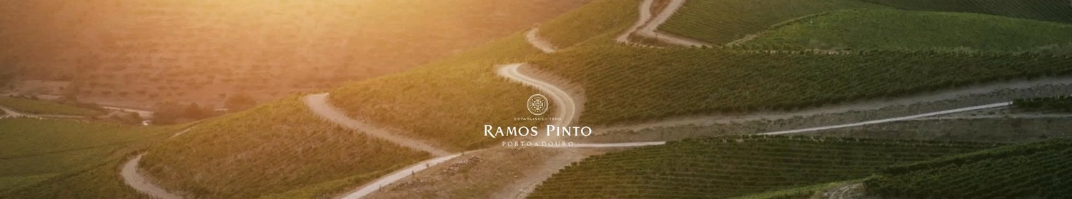 Vinho do Porto Adriano Ramos Pinto Branco 750ml